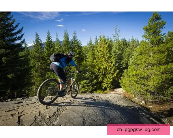 山地车赛事新闻：骑行乐园中的挑战与激情